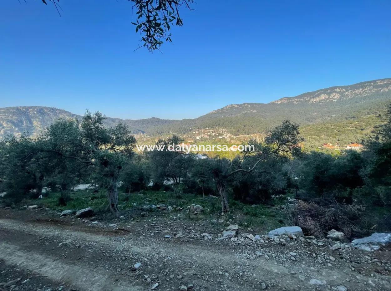 Çandır See Meerblick 2.806M2 2B Feld Zum Verkauf