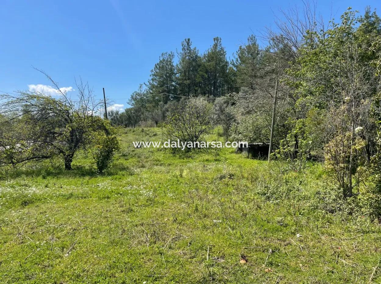 Mehrfamilienhaus Zum Verkauf In 5650M2 Feld In Zeytinalann