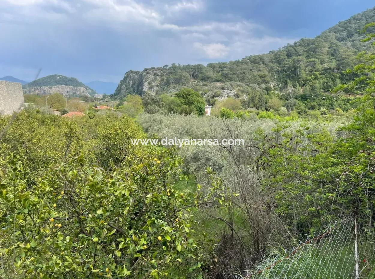 5000M2 Feld Zum Verkauf Am Anfang Der Straße In Çandır