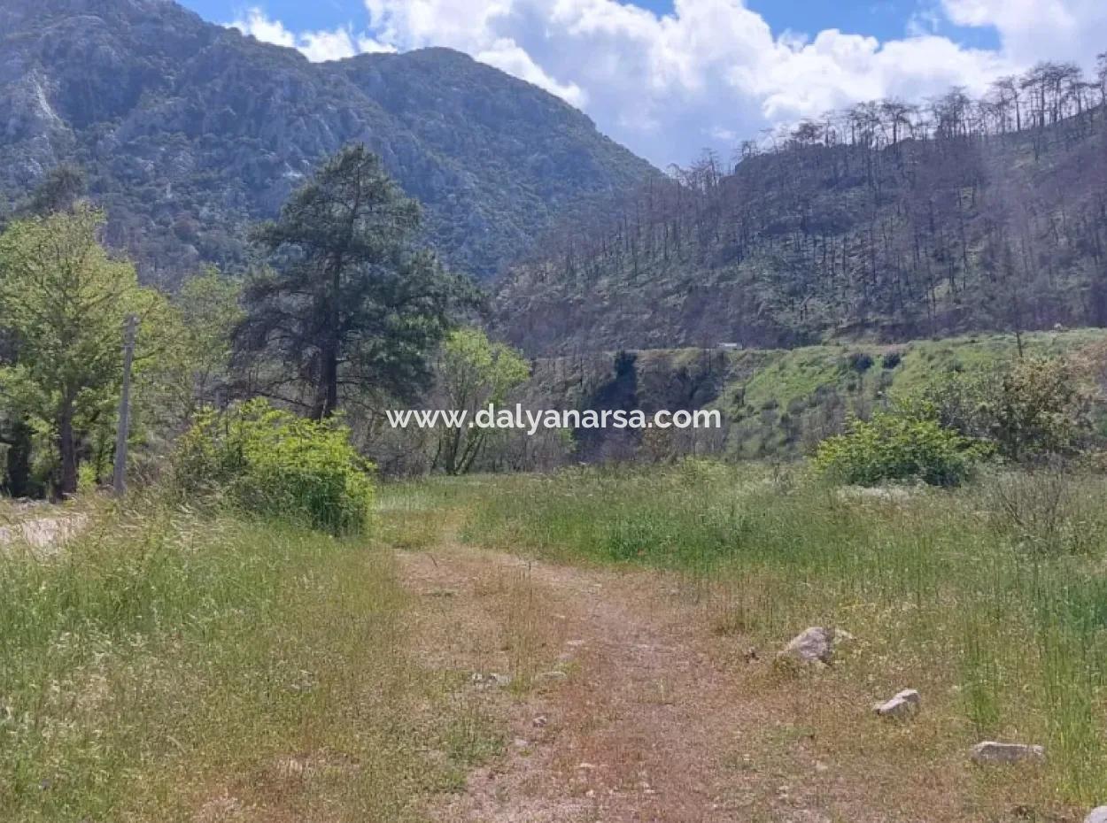 Marmaris Turgut Anlagegrundstück Zum Verkauf 29600M2 Zum Verkauf
