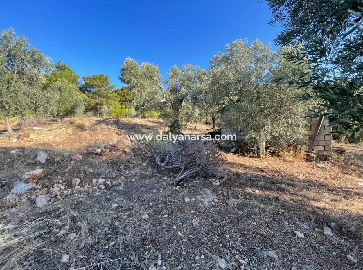 Çandır Voller Meer- Und Seeblick 500M2 2B Feld Zu Verkaufen