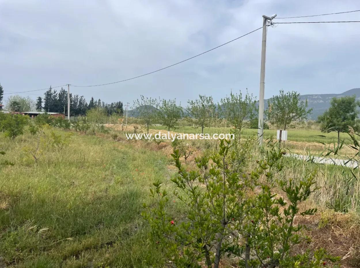 Feld Zu Verkaufen 6500M2 In Dalyan