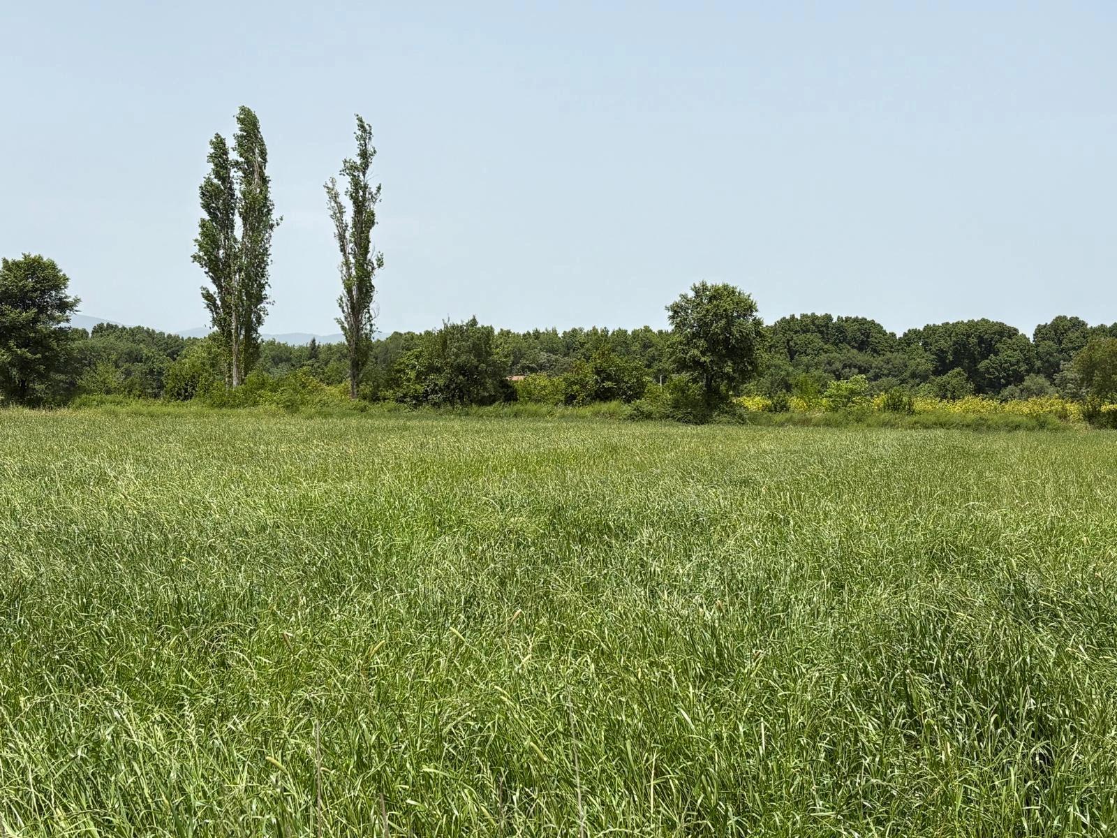 2100 M2 Plot Of Land For Sale In Okçular Marmaris.