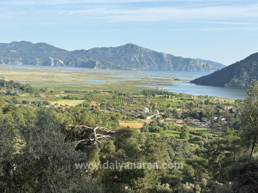 Field For sale in Çandır Nbh. Köyceğiz - Field Zoned - 1.252 m²