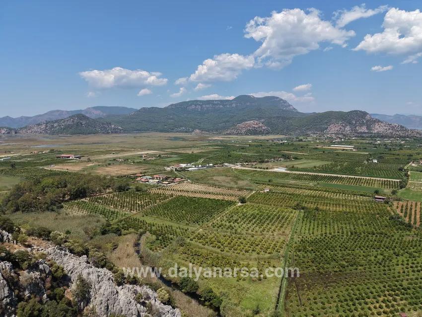 Field For sale in Dalyan Nbh. Ortaca - Field Zoned - 20.786 m²