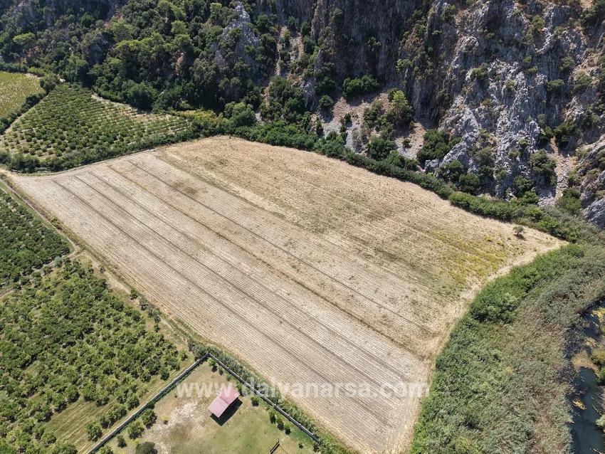 Field For sale in Dalyan Nbh. Ortaca - Field Zoned - 20.786 m²