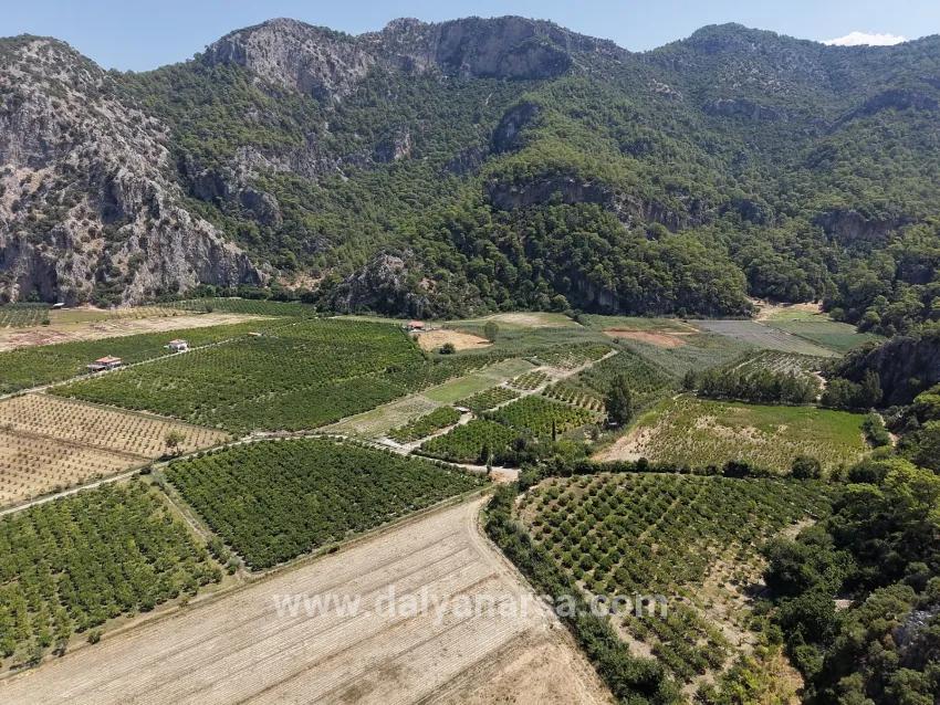 Field For sale in Dalyan Nbh. Ortaca - Field Zoned - 20.786 m²