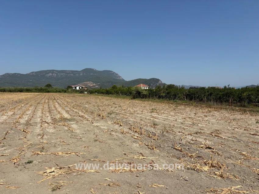 Field For sale in Dalyan Nbh. Ortaca - Field Zoned - 20.786 m²