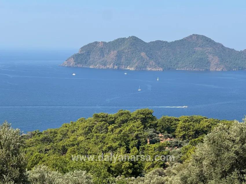 Field For sale in Çandır Nbh. Köyceğiz - Field Zoned - 21.000 m²
