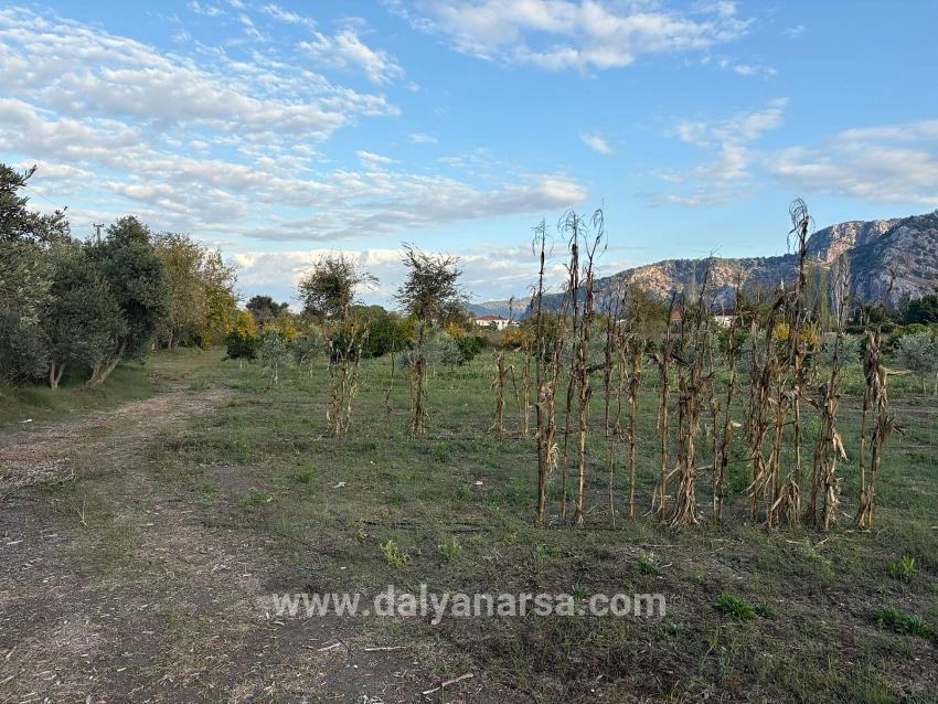7,450 M² Plot Of Land For Sale In Dalyan With 5% Zoning.
