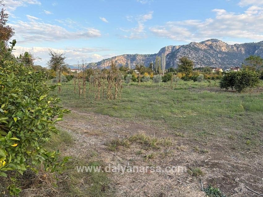 7,450 M² Plot Of Land For Sale In Dalyan With 5% Zoning.