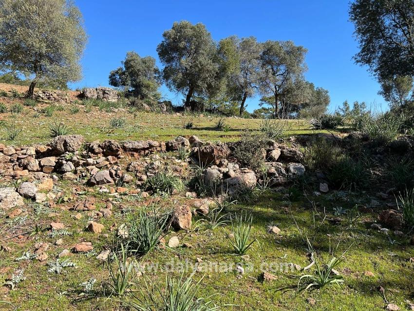Land For Sale In Gökbel, Surrounded By Nature And Forest.