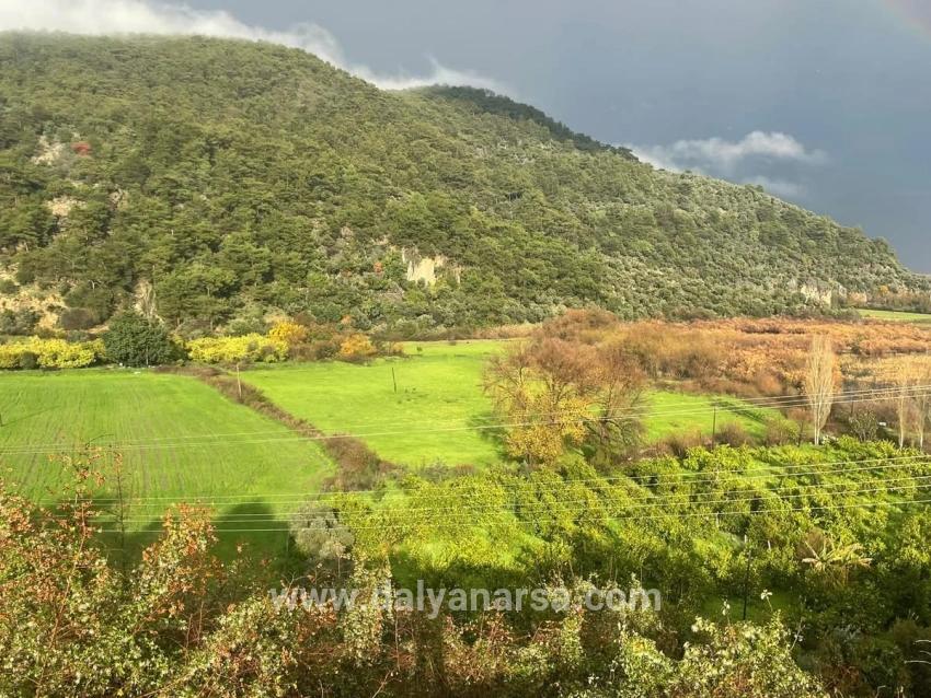 35,000 M² Farm Land For Sale In Çandır, Köyceğiz.