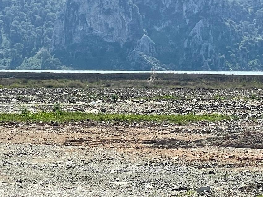 19,600 M² Plot Of Land For Sale, Located Directly On The Road To Dalyan Iztuzu Beach.