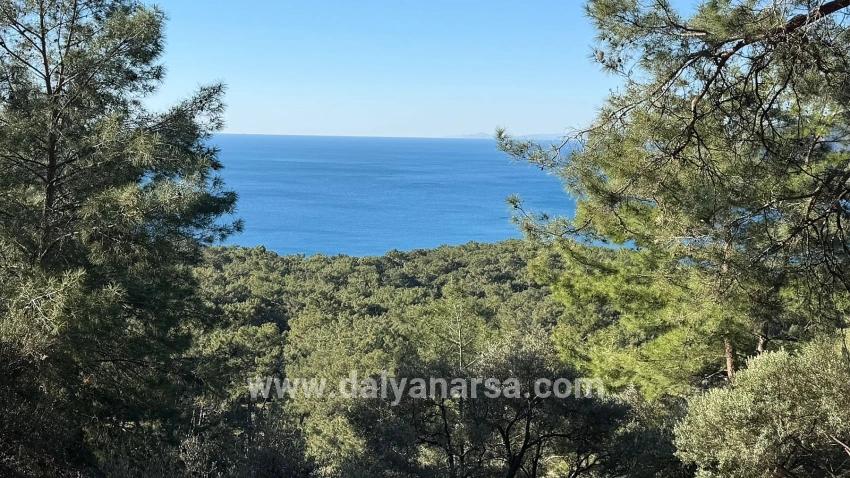 2b Field Of 5715m2 For Sale With Full Sea View In Çandır