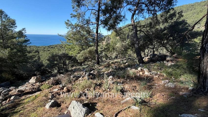 Field For sale in Çandır Nbh. Köyceğiz - Housing Zoned - 5.715 m²