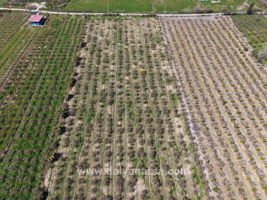 16.710m2 Pomegranate Garden For Sale With Lake View In Eskiköy