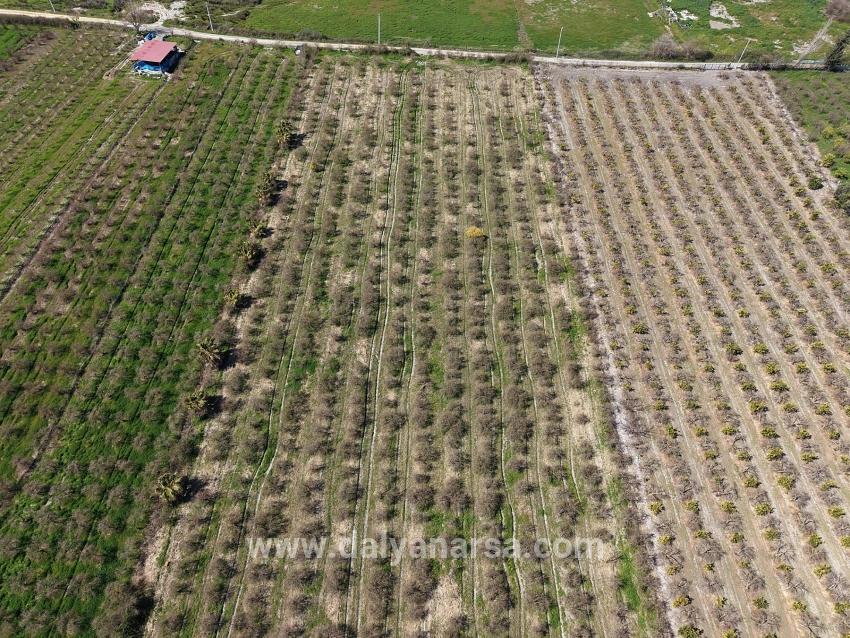 16.710m2 Pomegranate Garden For Sale With Lake View In Eskiköy