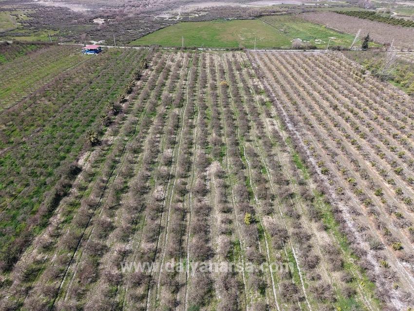 16.710m2 Pomegranate Garden For Sale With Lake View In Eskiköy