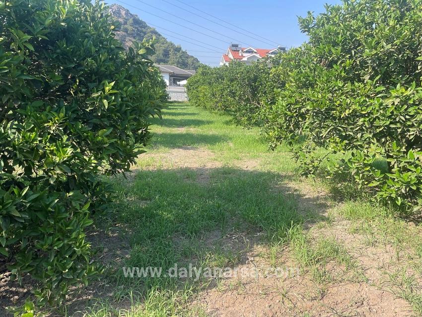 722m2 Land For Sale In Dalyan Gülpınar