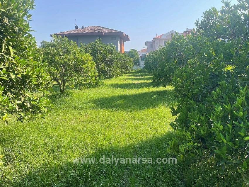 722m2 Land For Sale In Dalyan Gülpınar