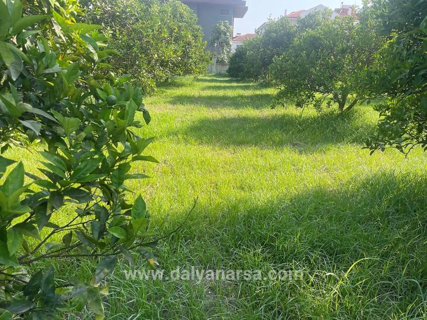 722m2 Land For Sale In Dalyan Gülpınar
