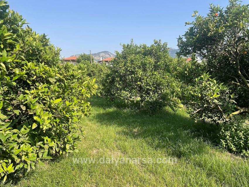 722m2 Land For Sale In Dalyan Gülpınar