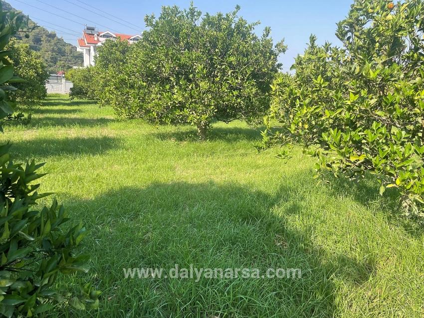 722m2 Land For Sale In Dalyan Gülpınar