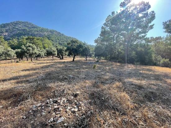 Bargain Real Estate Land For Sale With Sea View In Ekincik Çandır Arasın