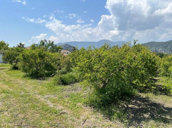 5,100 M² Plot Of Land For Sale In Dalyan, Maraş Area, Zoned For 5% Residential Use.
