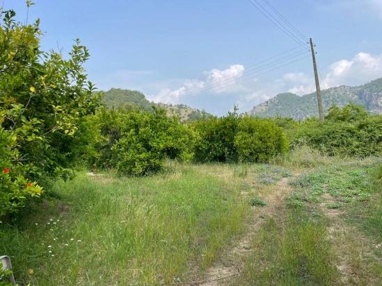 7800m2 Land For Sale In Gökbel, Next To Iztuzu Beach Road