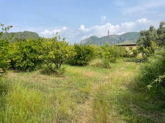7800m2 Land For Sale In Gökbel, Next To Iztuzu Beach Road