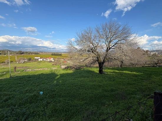 11,230 M² Plot Of Land For Sale In Dalyan With Lake View.