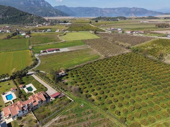 17.550m2 Vineyard-bahce For Sale Close To Dalyan Center