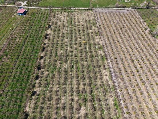 16.710m2 Pomegranate Garden For Sale With Lake View In Eskiköy