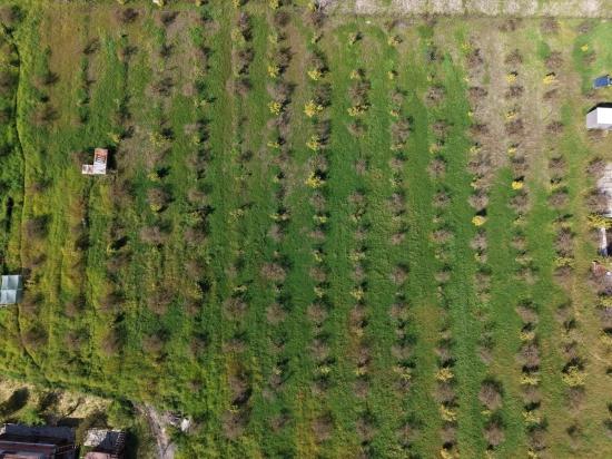 Tourism-oriented Business For Sale On An 11,000 M2 Plot Of Land In Eskiköy.