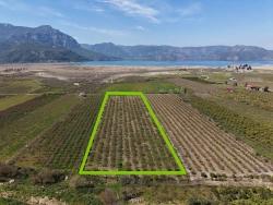Field For sale in Eskiköy Nbh. Ortaca - Field Zoned - 16.710 m²