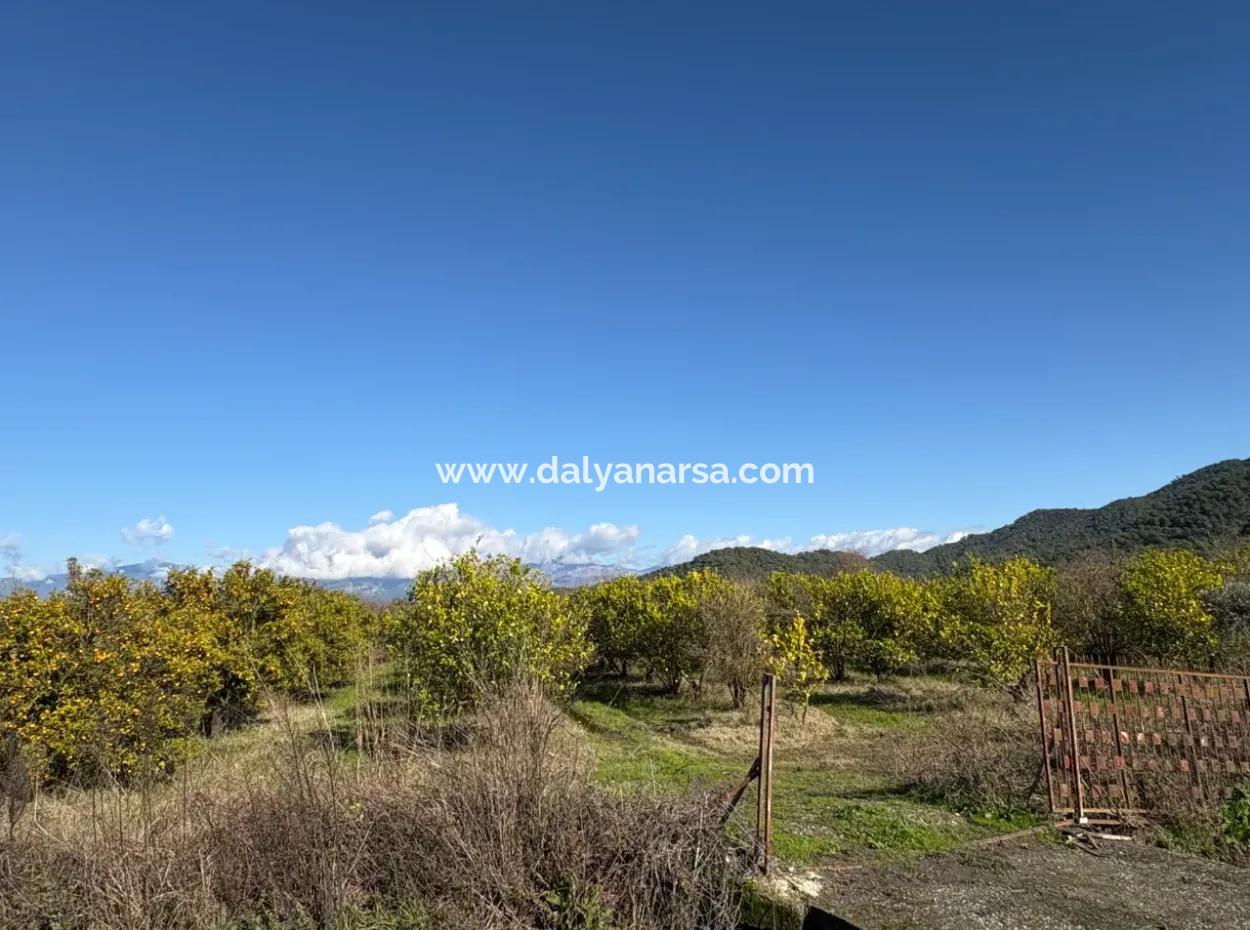 23,000M2 Detached Field Garden For Sale In Tepearasin,