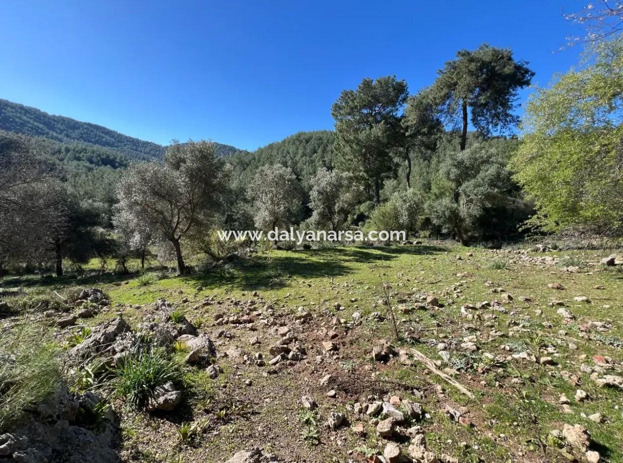 Land For Sale In Nature And Forest In Gökbel