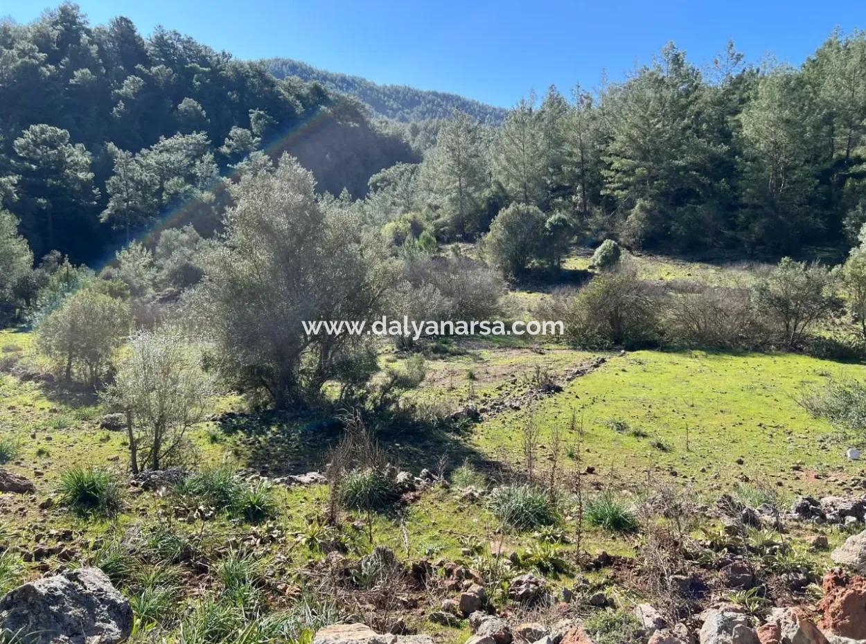 Land For Sale In Nature And Forest In Gökbel