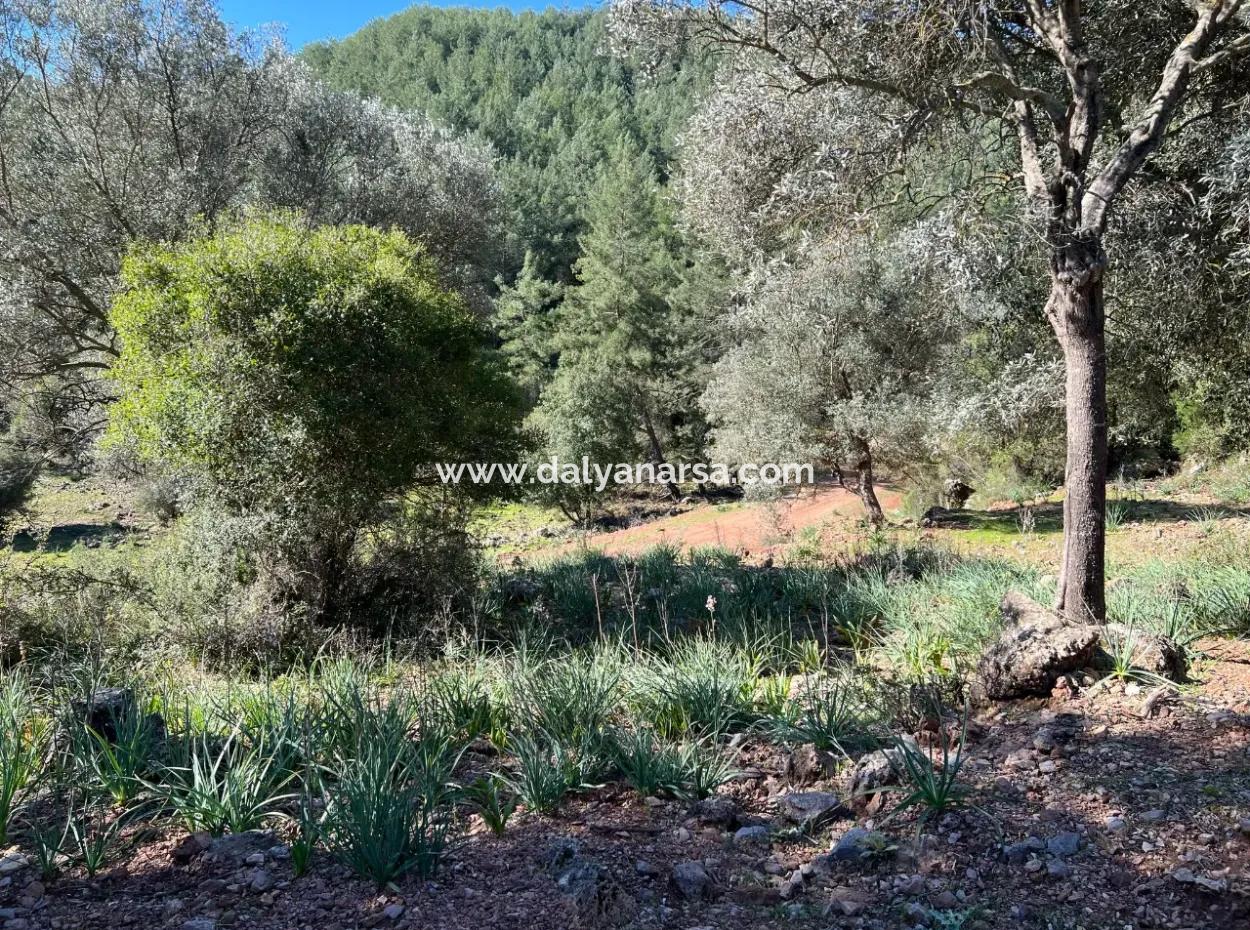 Land For Sale In Nature And Forest In Gökbel