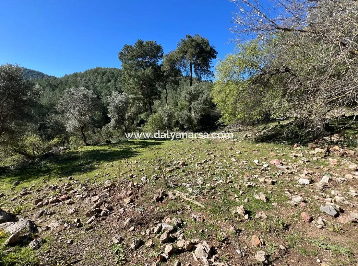 Land For Sale In Nature And Forest In Gökbel