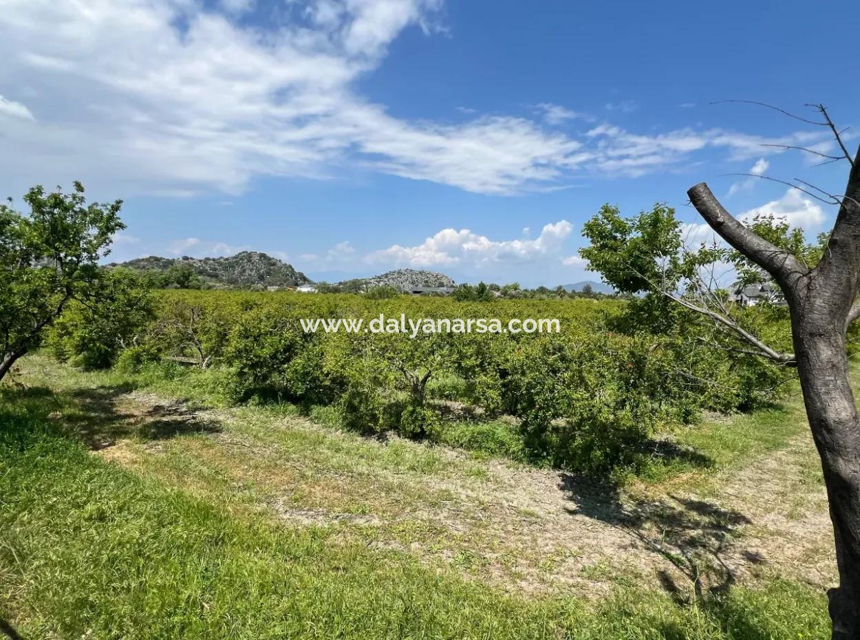 5,100M2 Land For Sale In Dalyan Maraş Area With 5% Residential Zoning