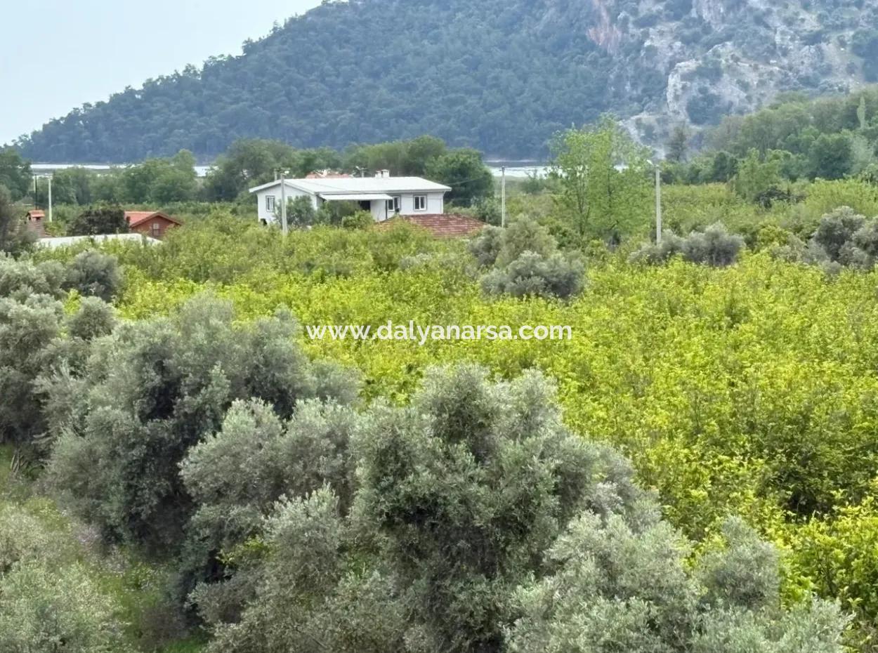 1,721M2 Land For Sale In Çandır Village With Sea And Lake Views