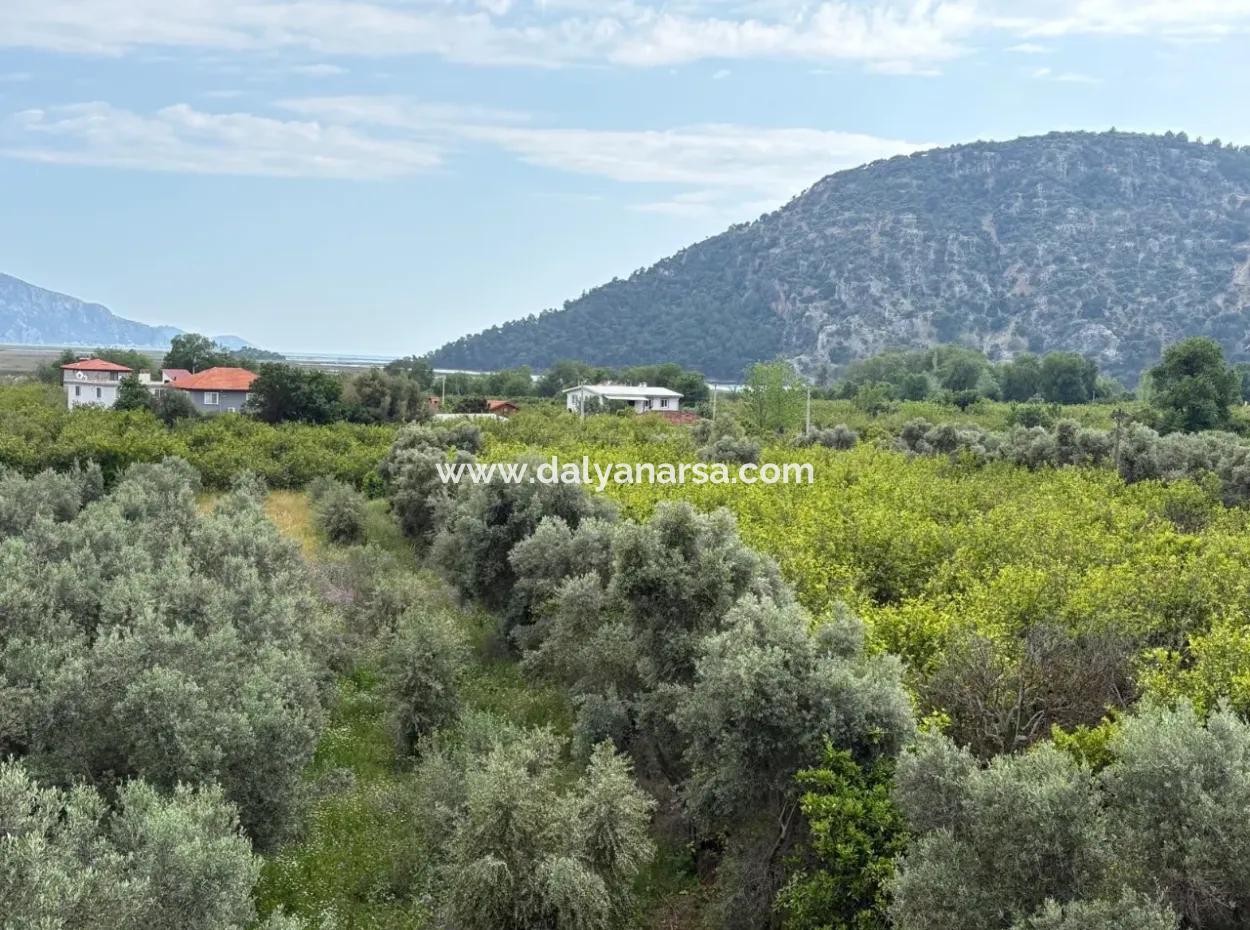 1,721M2 Land For Sale In Çandır Village With Sea And Lake Views