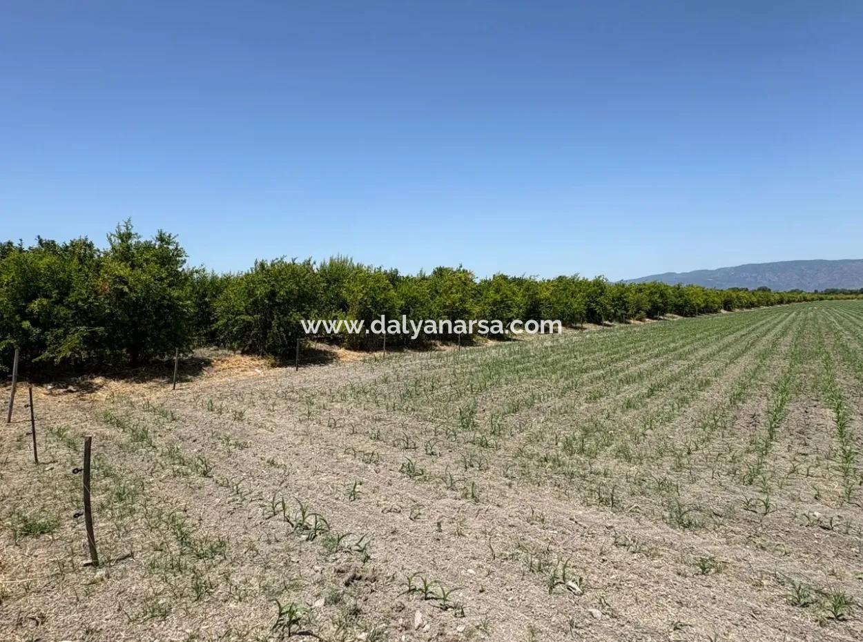 46,550M2 Land For Sale In Tepearası
