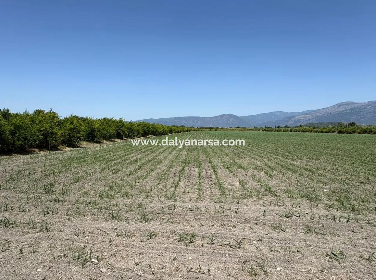 46,550M2 Land For Sale In Tepearası