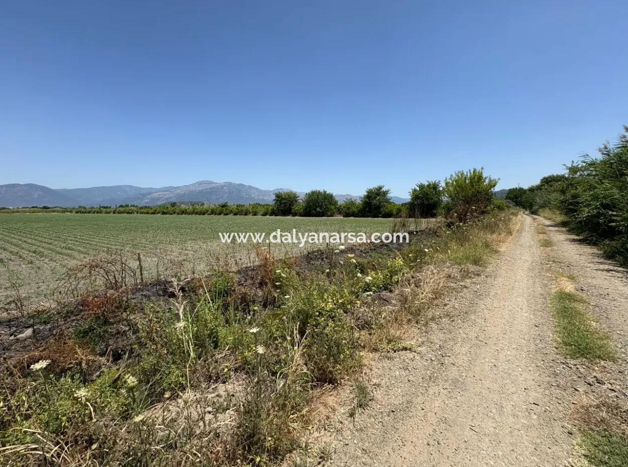 46,550M2 Land For Sale In Tepearası