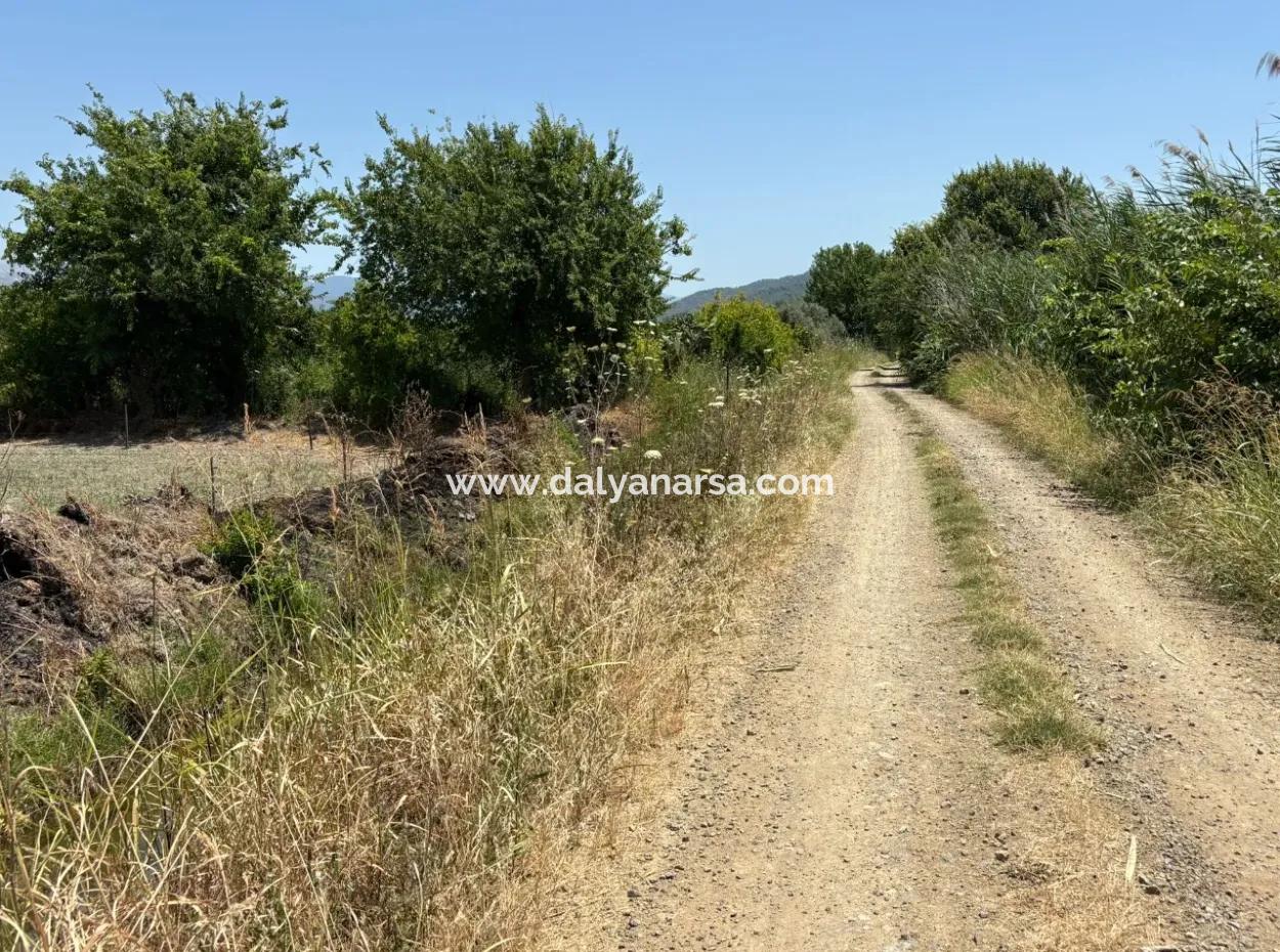 46,550M2 Land For Sale In Tepearası