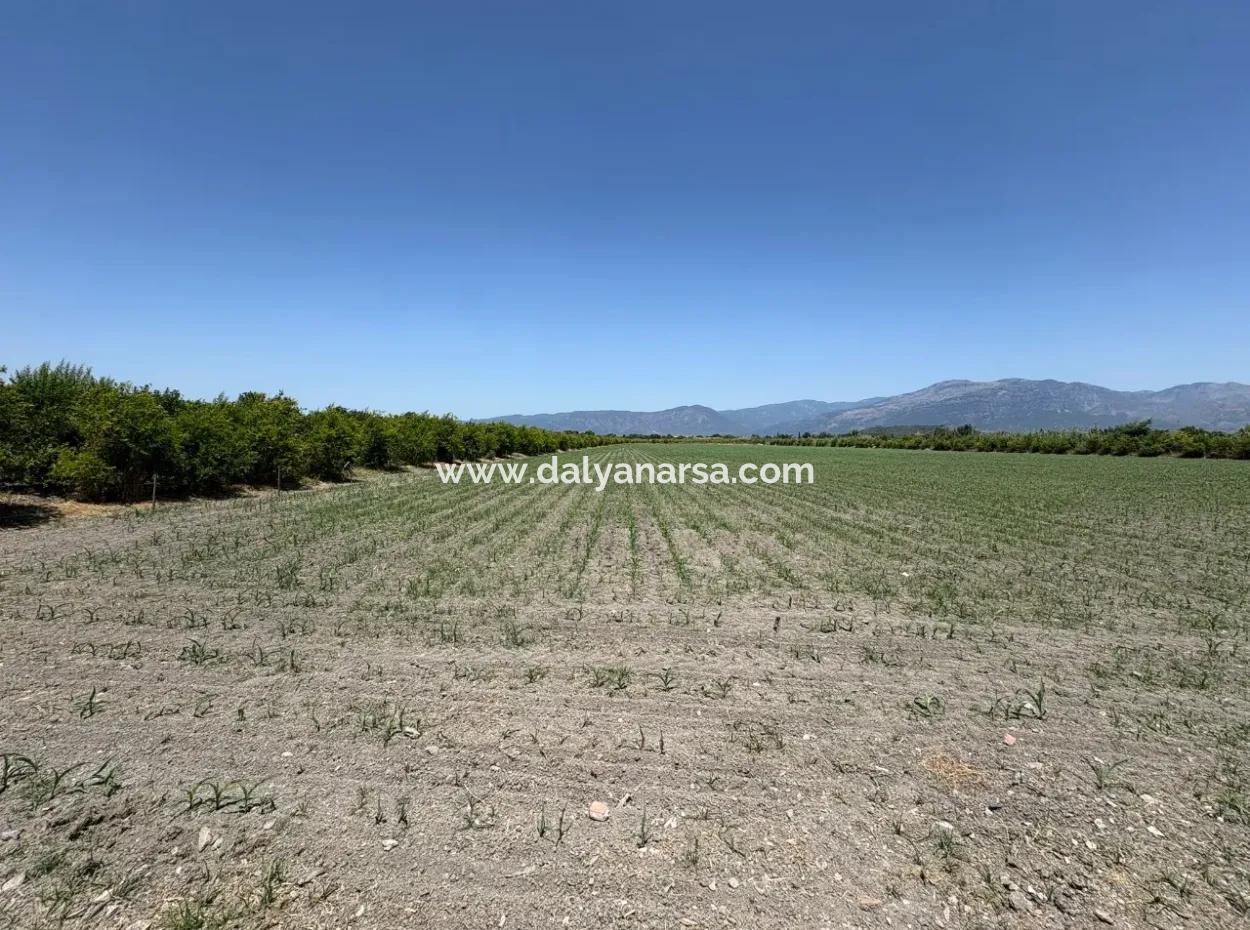 46,550M2 Land For Sale In Tepearası